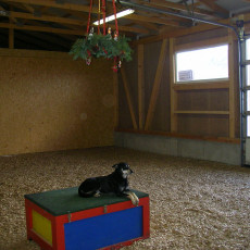 2007 Adventsfeier0008