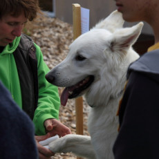 Doktorspiel 21 09 08 006