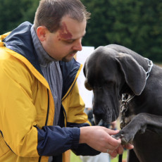 Doktorspiel 21 09 08 007