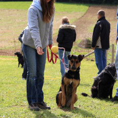 Korbspiel 21 09 08 007