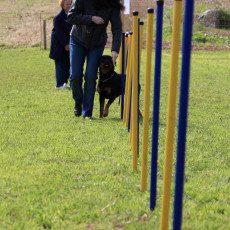 20m Slalom 21 09 08 002