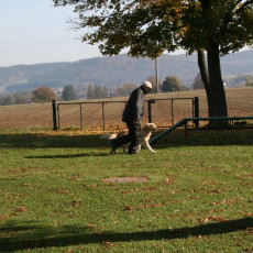 2008 10 18 Teamtest klein 0032