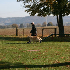 2008 10 18 Teamtest klein 0035