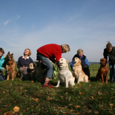 2008 10 18 Teamtest klein 0083