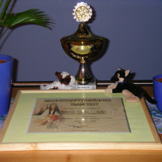 Teamstest Mannschaft0006