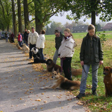 Teamtest HSV 20070013
