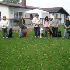 Teamtest HSV 20070016