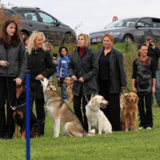 Gruppe4 Quadrille 21 09 08 002 21.09.2008 15 03 03