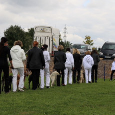 Gruppe4 Quadrille 21 09 08 002 21.09.2008 15 03 54