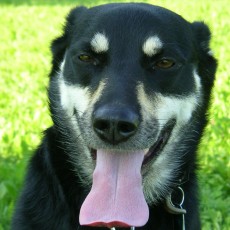 2004 09 05 Bella0029