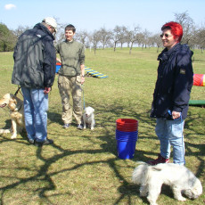 06 04 08 Sonnentraining0001