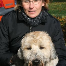 normal 2008 10 18 Teamtest klein 0010