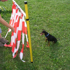 Uschi s Vormittagsgruppe0012 i