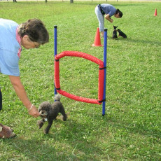 Uschi s Vormittagsgruppe0022 i