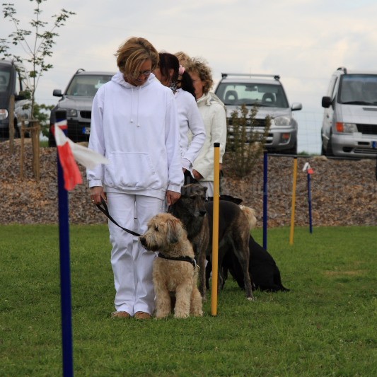 Gruppe4 Quadrille 21 09 08 002 21.09.2008 15 03 08