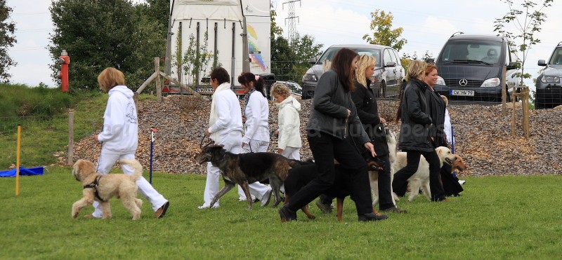 Gruppe4 Quadrille 21 09 08 002 21.09.2008 15 04 15