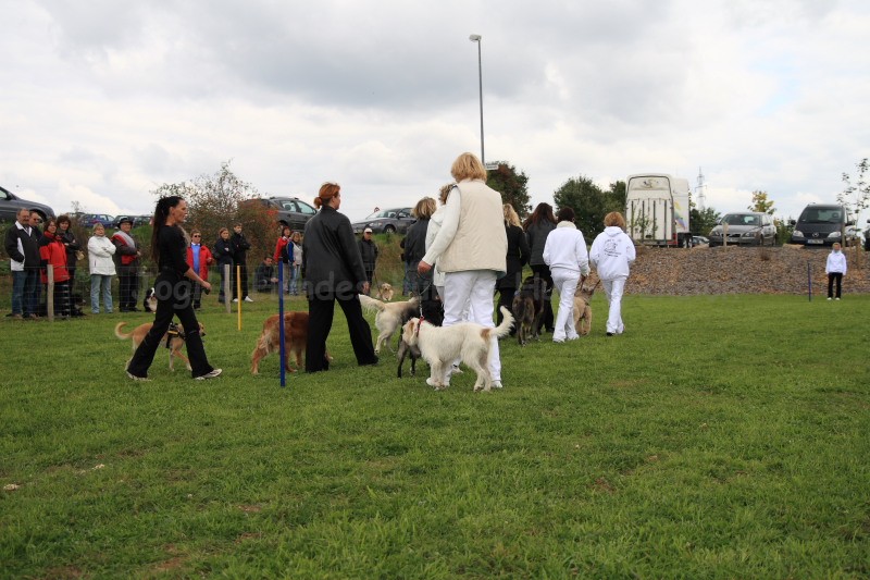 Gruppe4 Quadrille 21 09 08 002 21.09.2008 15 04 37